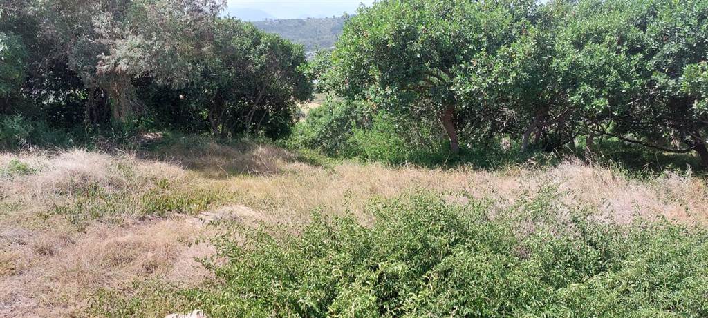 986 m² Land available in Great Brak River photo number 4