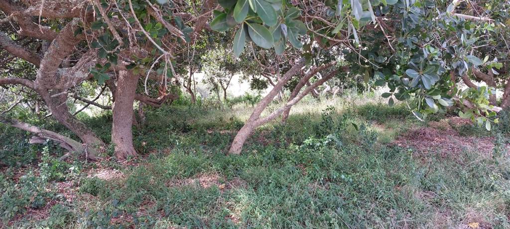 986 m² Land available in Great Brak River photo number 9