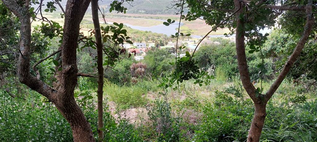986 m² Land available in Great Brak River photo number 11