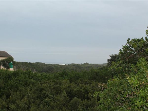 1339 m² Land available in Port Alfred