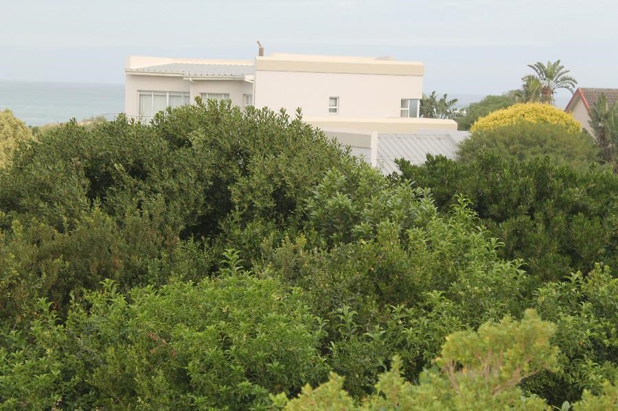 1339 m² Land available in Port Alfred photo number 3