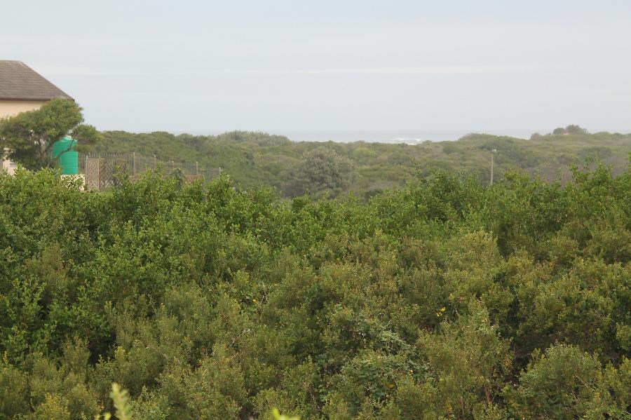 1339 m² Land available in Port Alfred photo number 4
