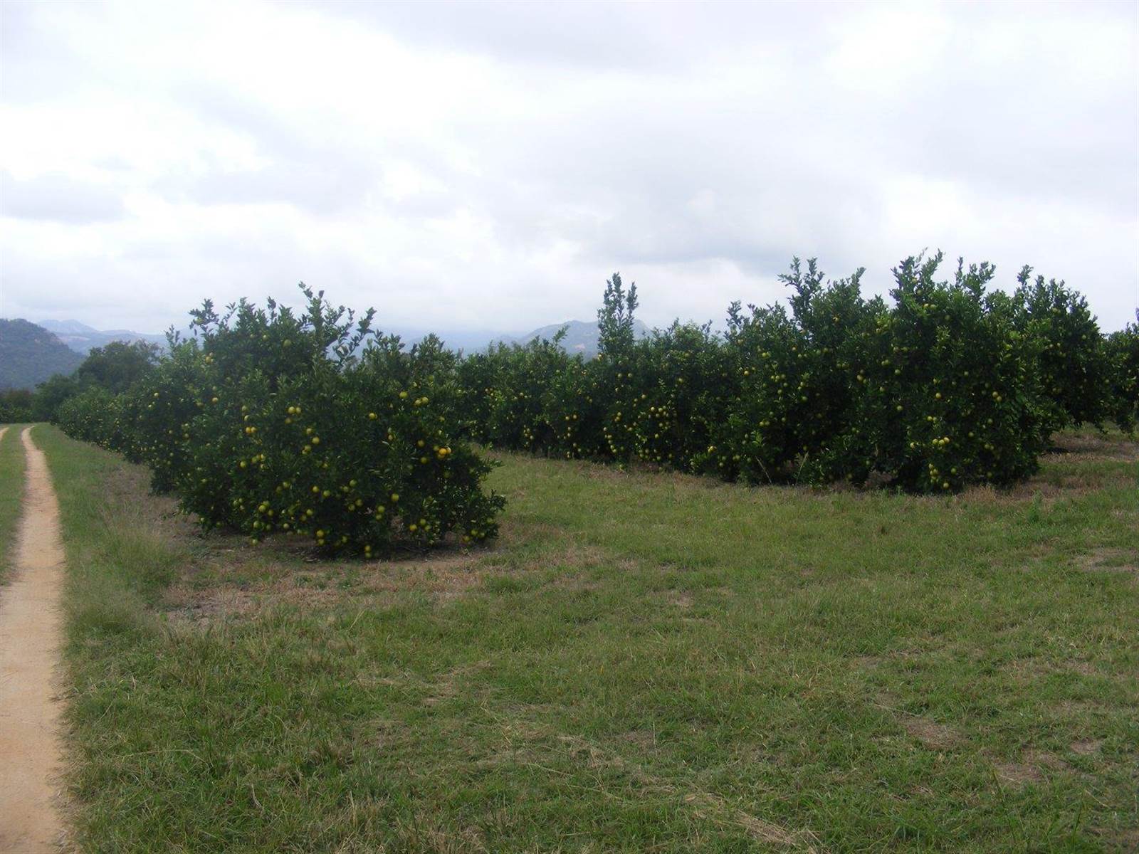 450 ha Farm in Nelspruit Central photo number 1