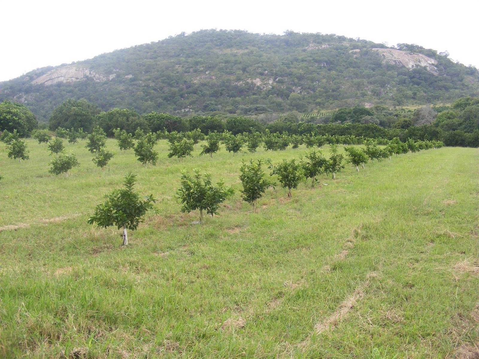 450 ha Farm in Nelspruit Central photo number 12