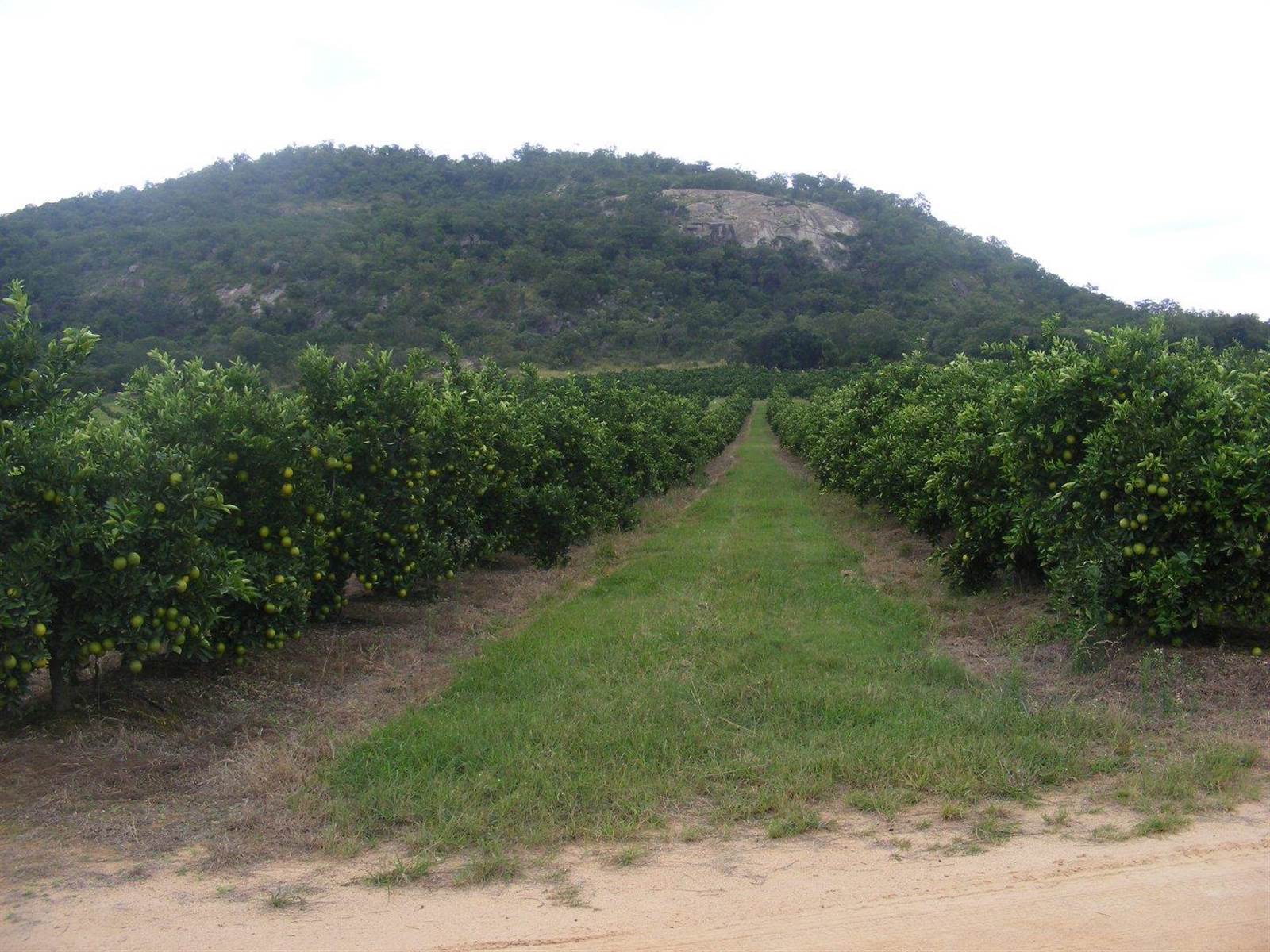450 ha Farm in Nelspruit Central photo number 3