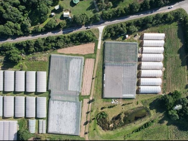 42.7 ha Farm