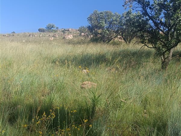 800 m² Land