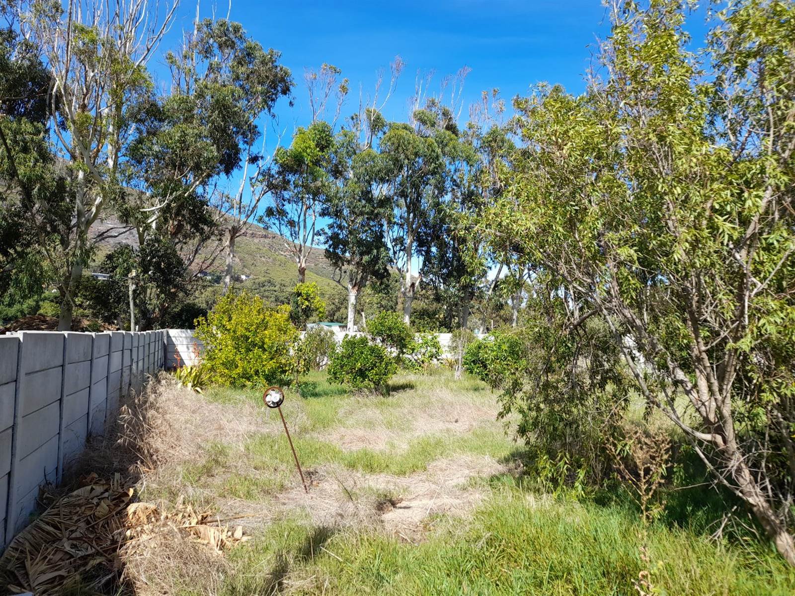 878 m² Land available in Sunnydale photo number 1