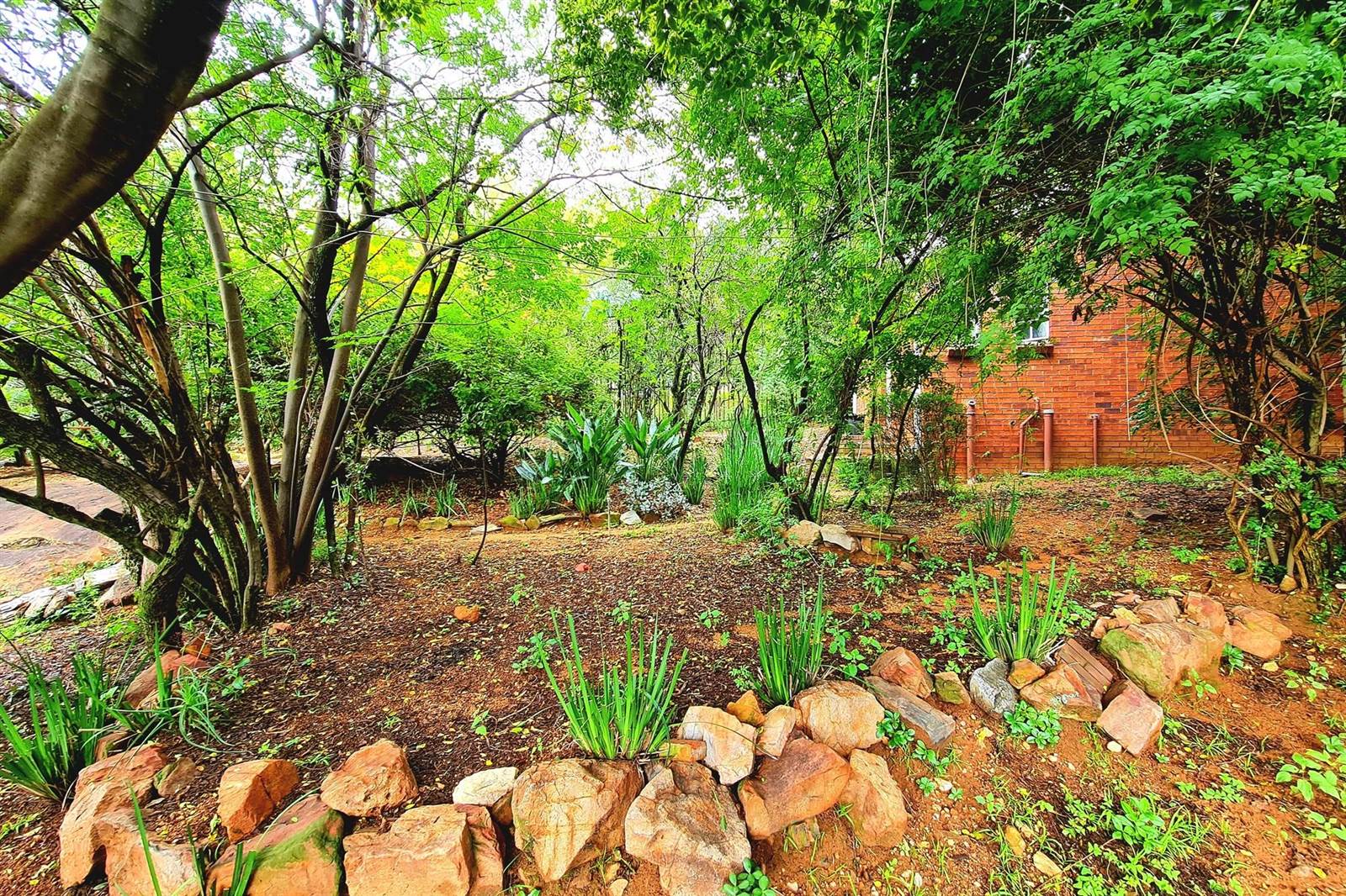 3965 m² Land available in Bryanston photo number 4
