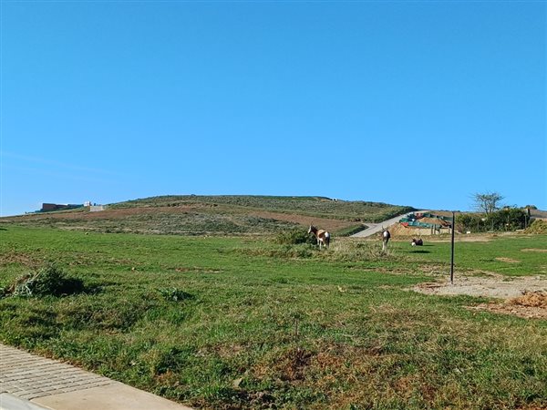 1549 m² Land available in Hartenbos