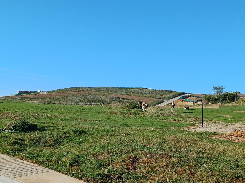 1549 m² Land available in Hartenbos photo number 1