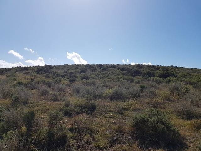 1549 m² Land available in Hartenbos photo number 6