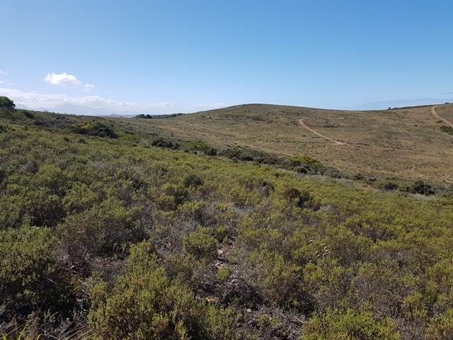 1549 m² Land available in Hartenbos photo number 5