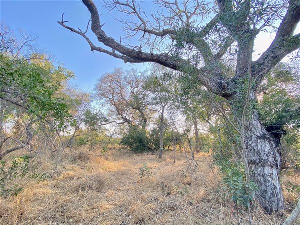 8114 m² Land available in Moditlo Nature Reserve