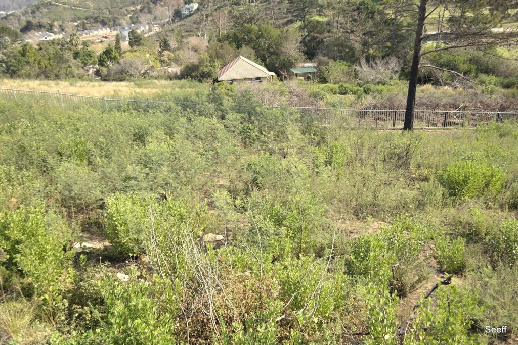 808 m² Land available in Kanonkop photo number 5