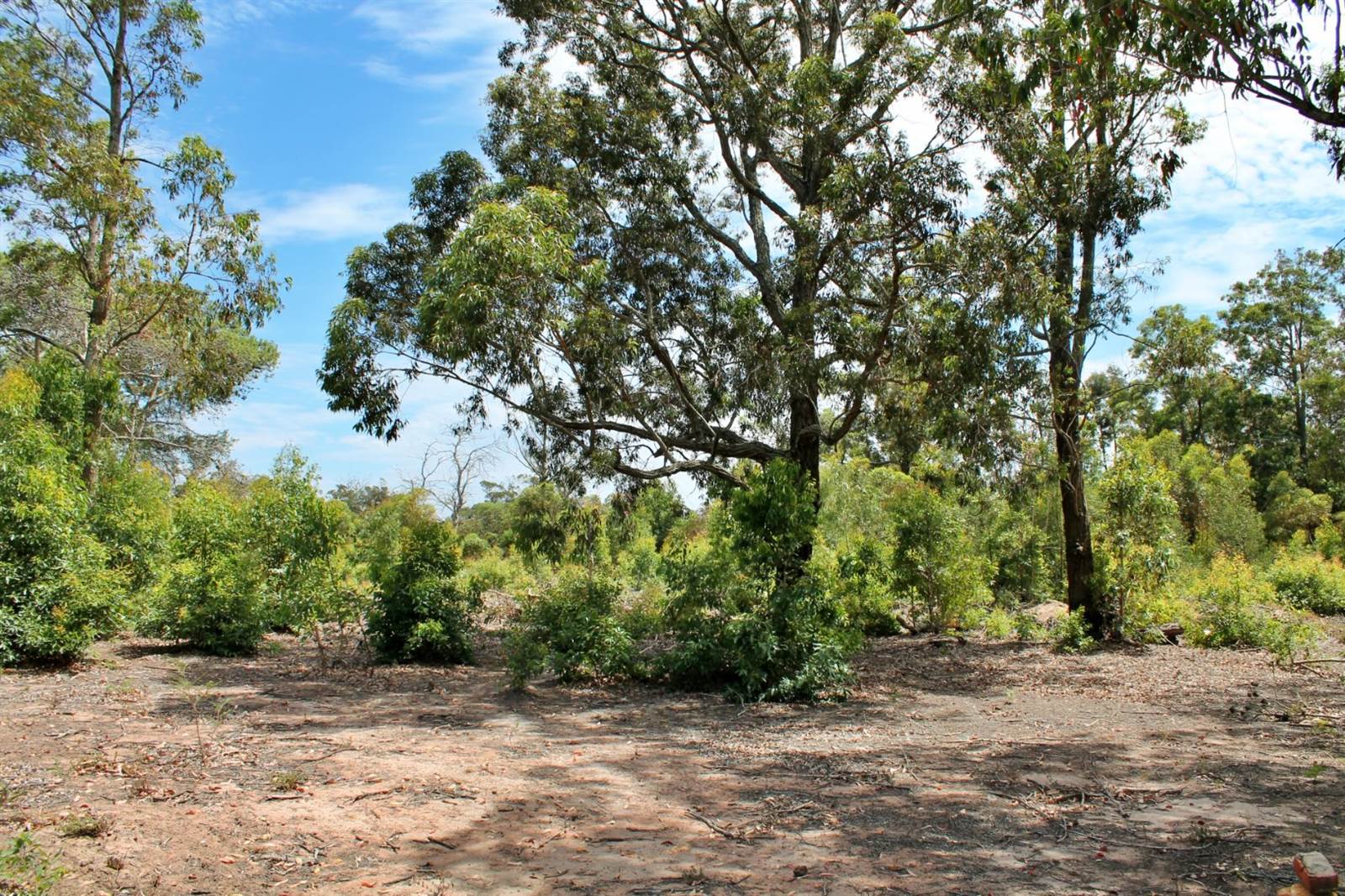2.1 ha Land available in Greenbushes photo number 3