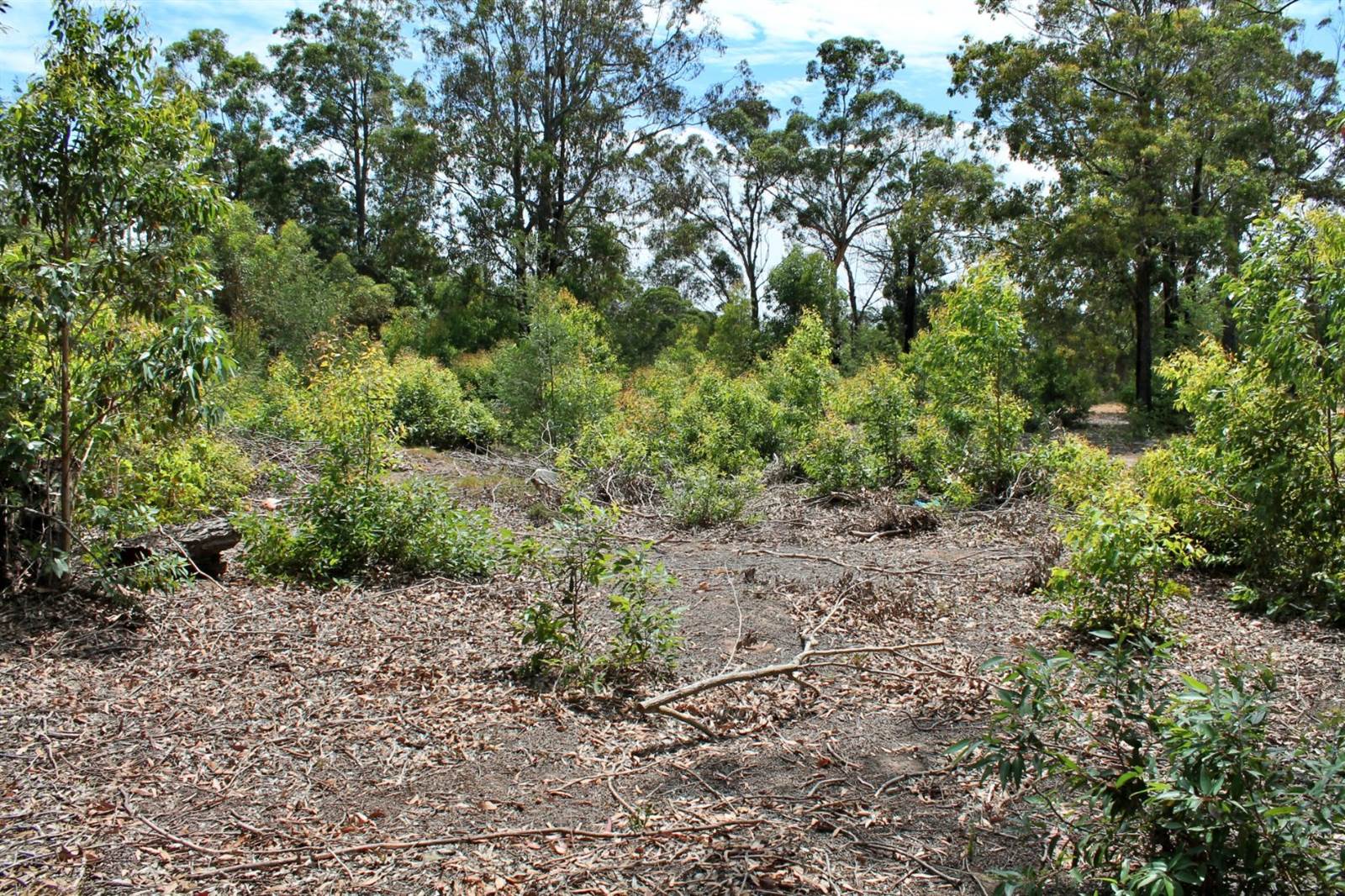 2.1 ha Land available in Greenbushes photo number 5