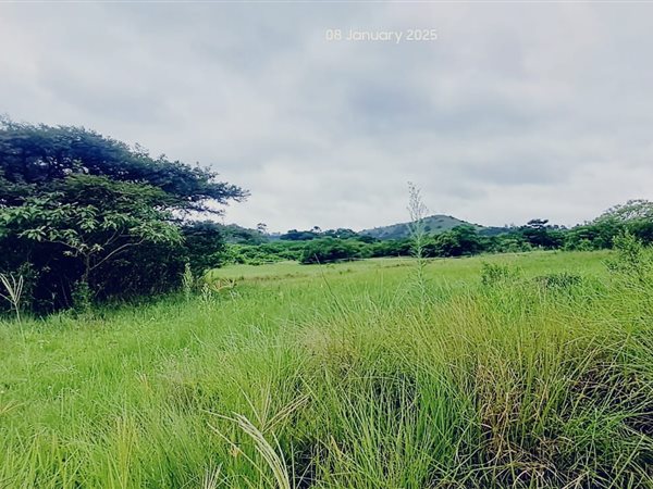 10 ha Farm 10 ha Farm