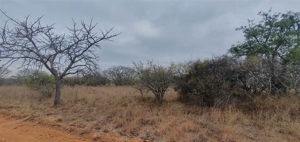 9 ha Land available in Tweefontein photo number 5