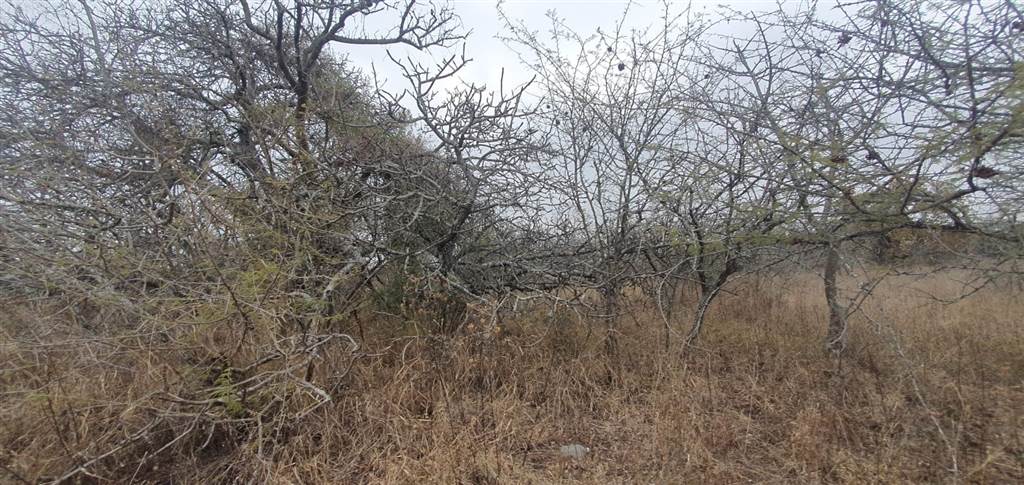 9 ha Land available in Tweefontein photo number 10