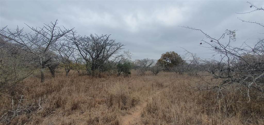 9 ha Land available in Tweefontein photo number 12