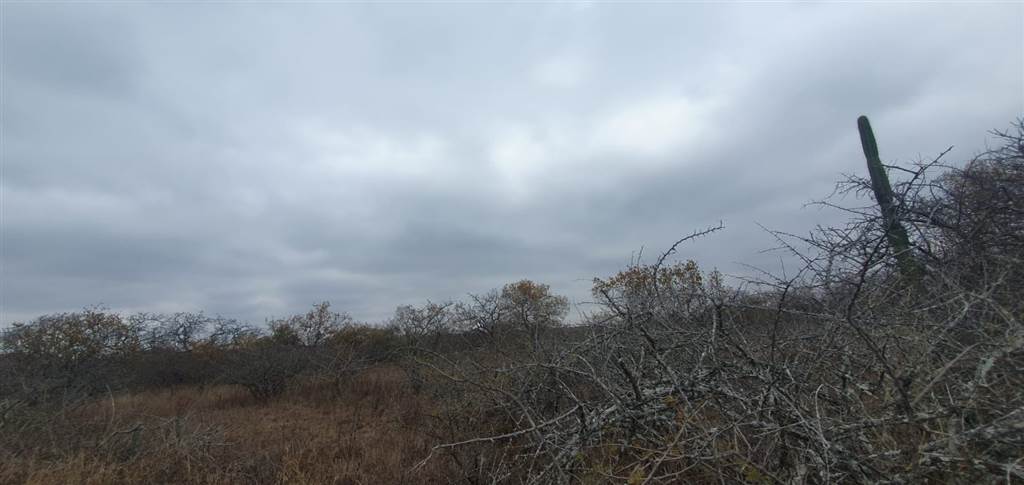 9 ha Land available in Tweefontein photo number 13