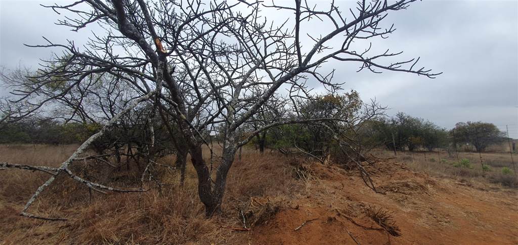 9 ha Land available in Tweefontein photo number 14