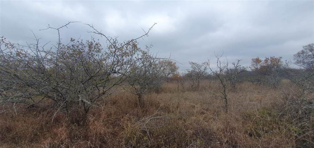 9 ha Land available in Tweefontein photo number 9