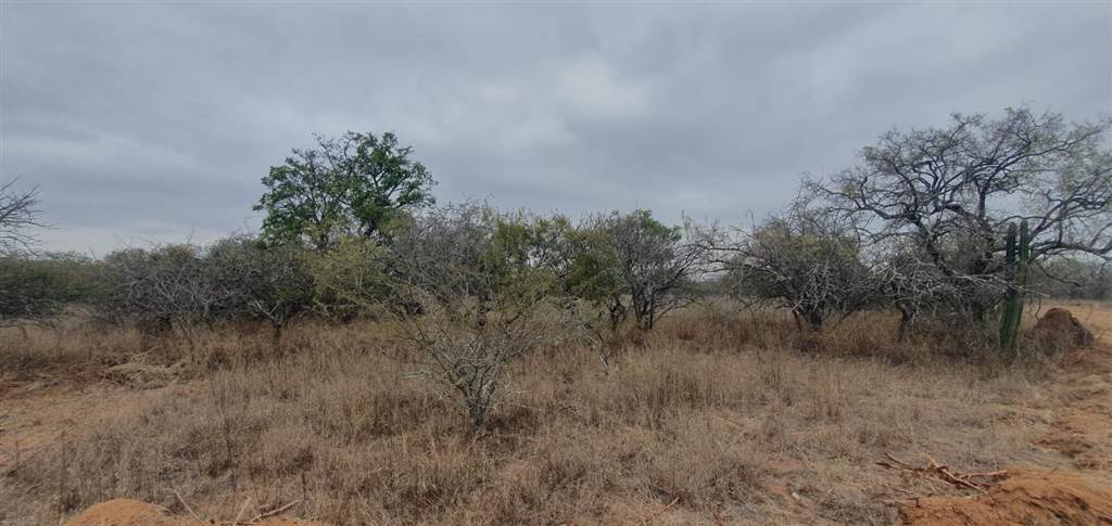 9 ha Land available in Tweefontein photo number 6