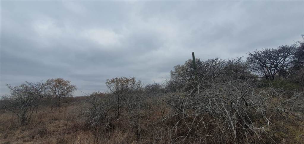 9 ha Land available in Tweefontein photo number 7