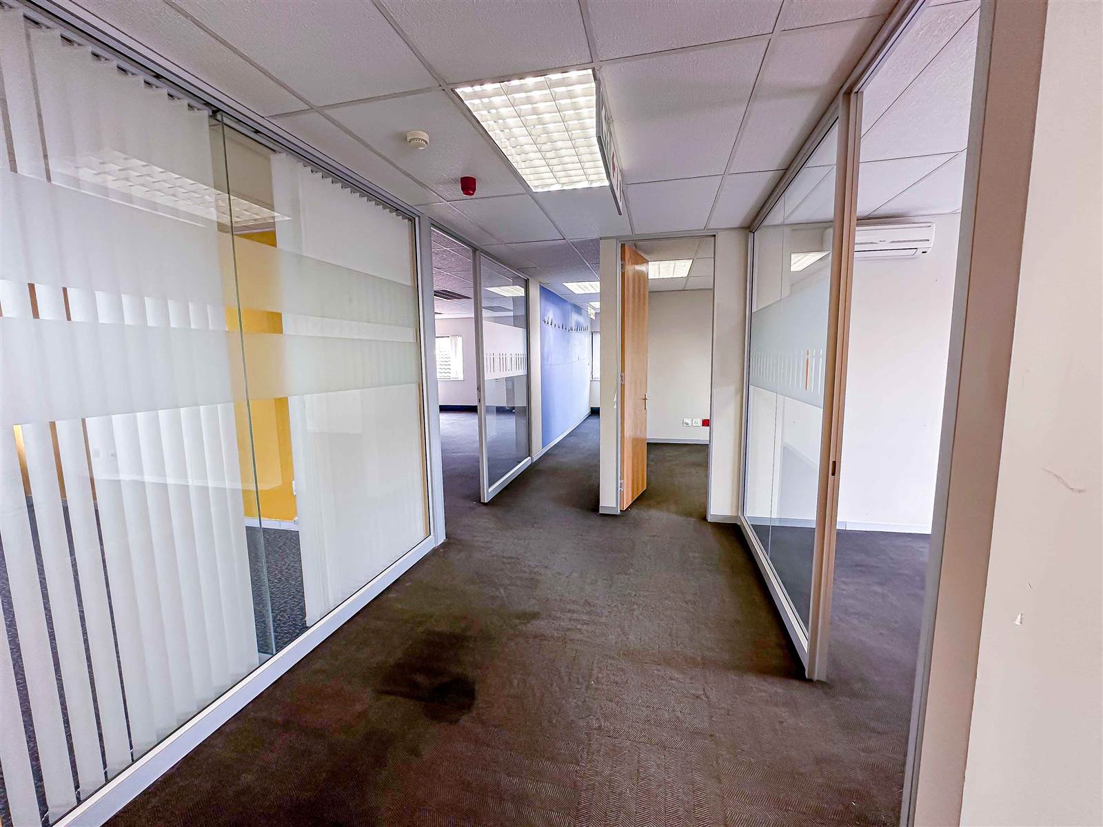 245  m² Commercial space in Bryanston photo number 13