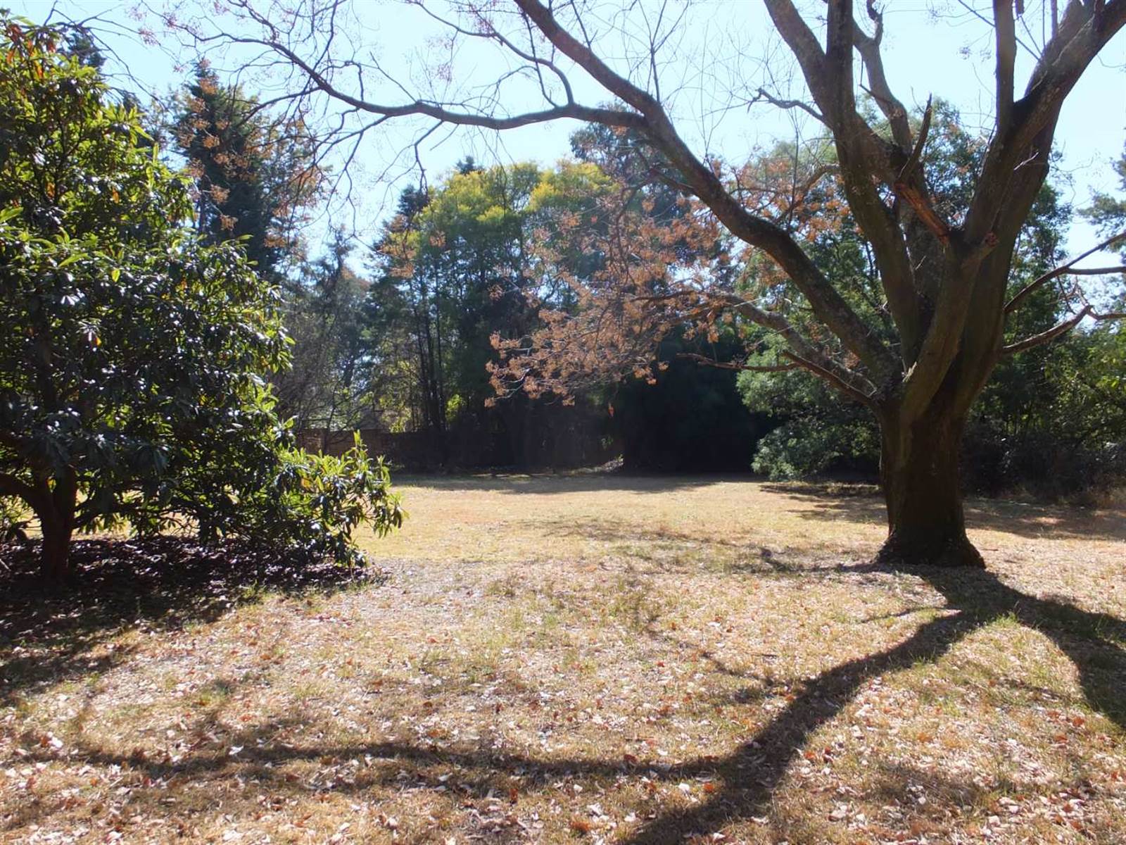 7604 m² Land available in Bryanston photo number 4