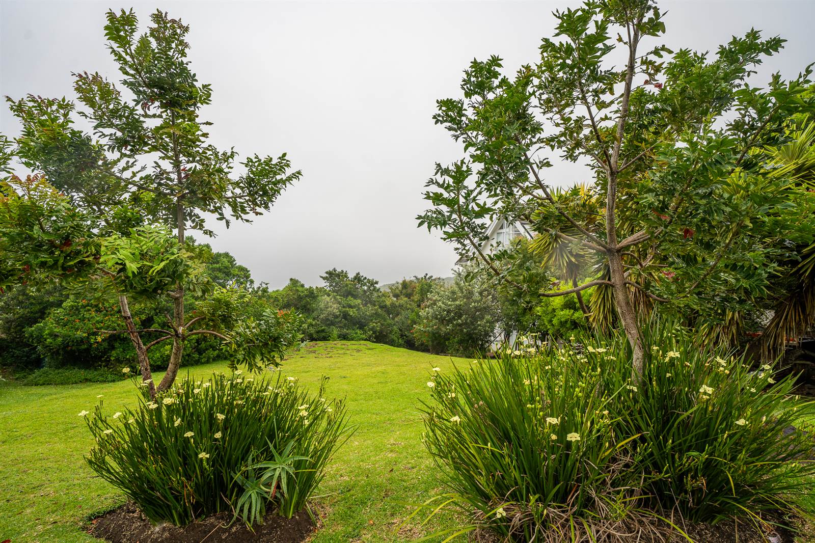 713 m² Land available in Cove Rock photo number 5