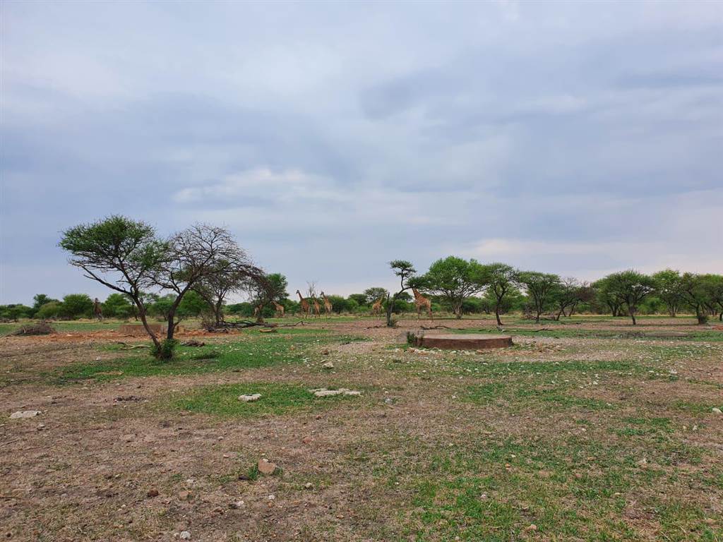 3400 ha Farm in Thabazimbi photo number 19