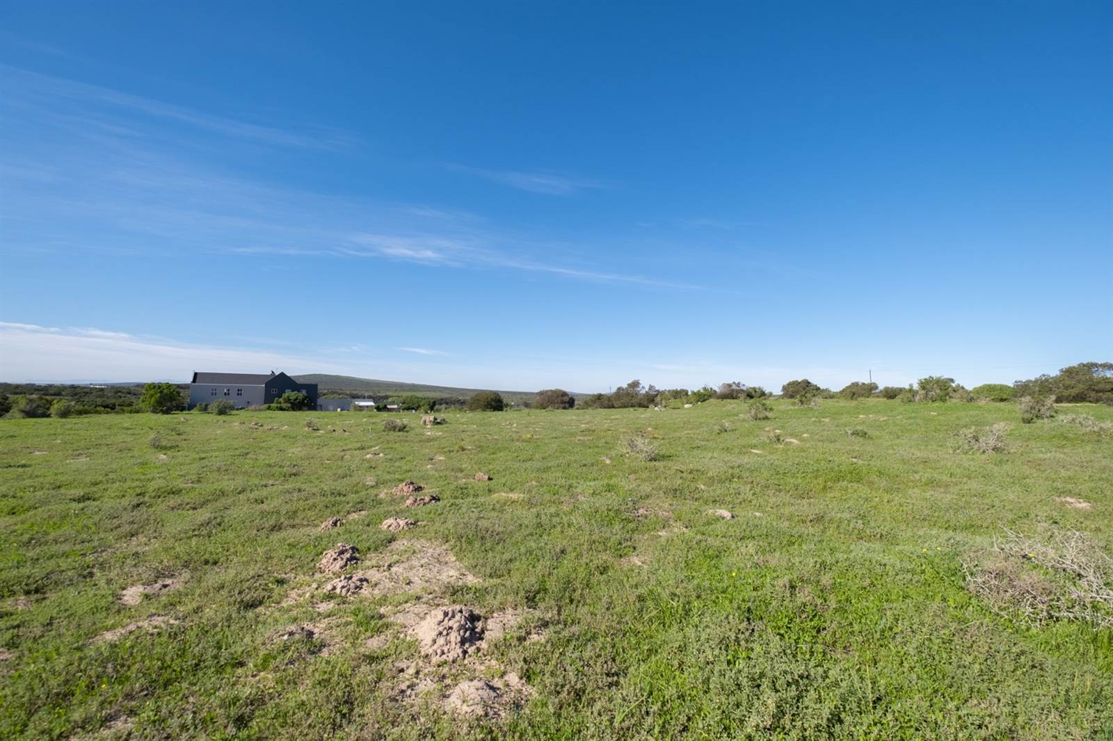 2 ha Land available in Olifantskop photo number 10