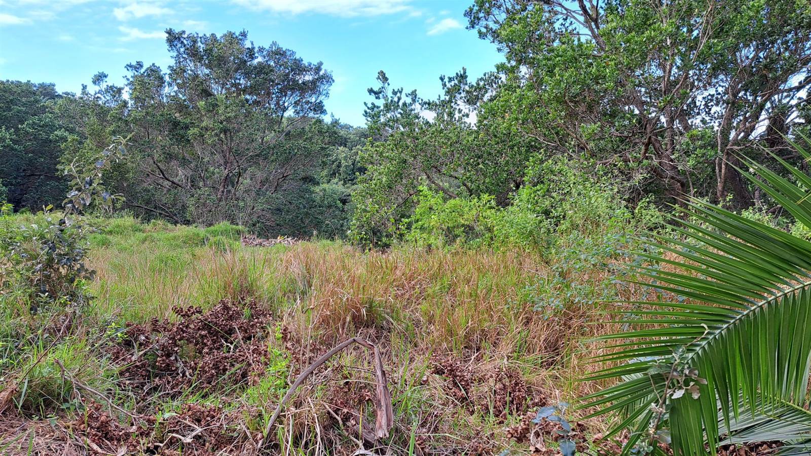 2120 m² Land available in Woodgrange photo number 8
