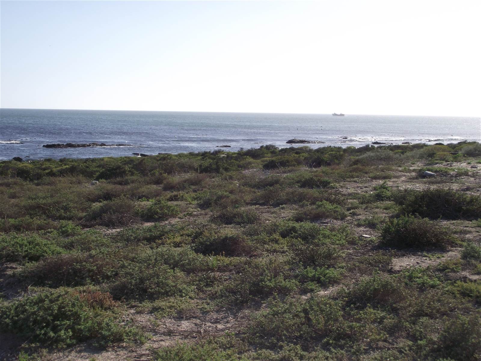 413 m² Land available in Sandy Point photo number 14