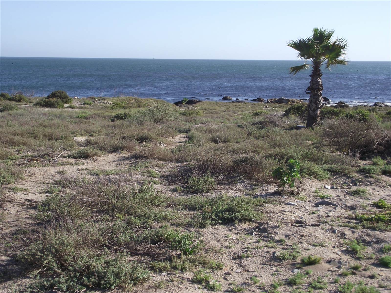 413 m² Land available in Sandy Point photo number 15