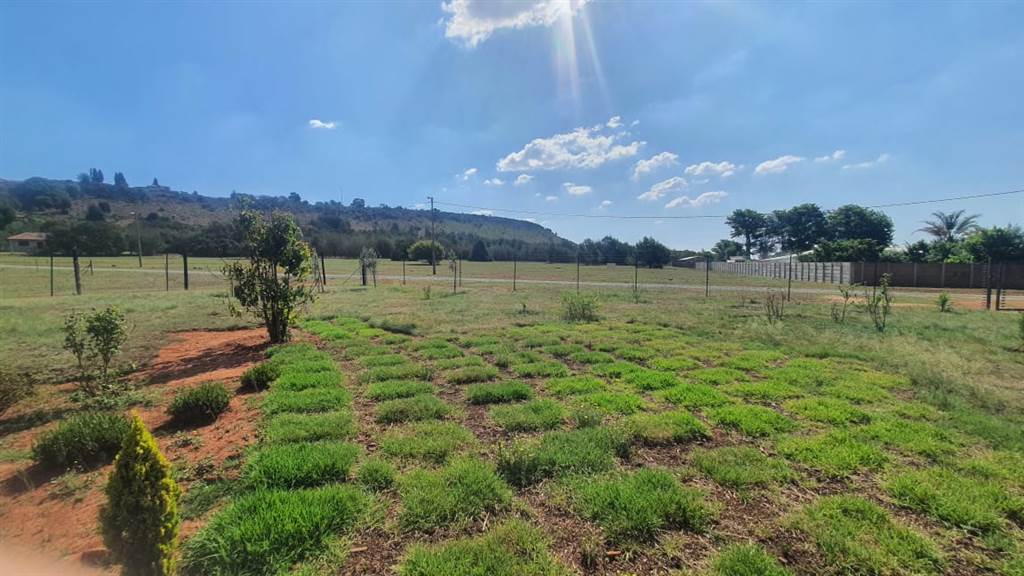 3.6 ha Farm in Randfontein photo number 11
