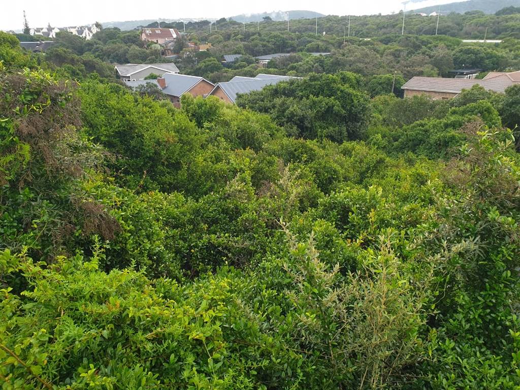 1735 m² Land available in Wilderness photo number 5