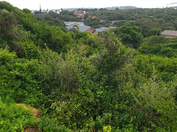 1735 m² Land available in Wilderness