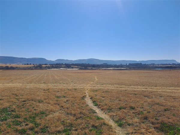40 ha Farm