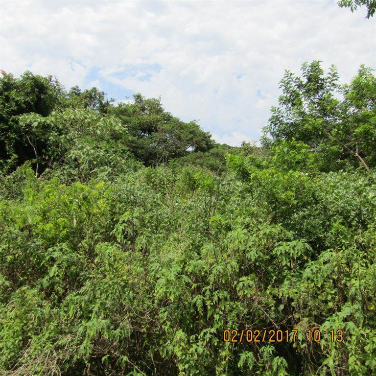 1166 m² Land available in Freeland Park photo number 2