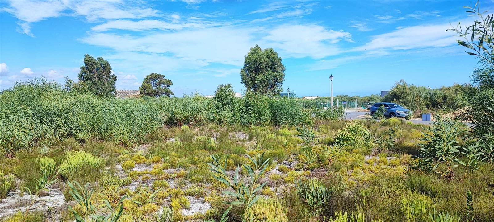 983 m² Land available in Franskraal photo number 3