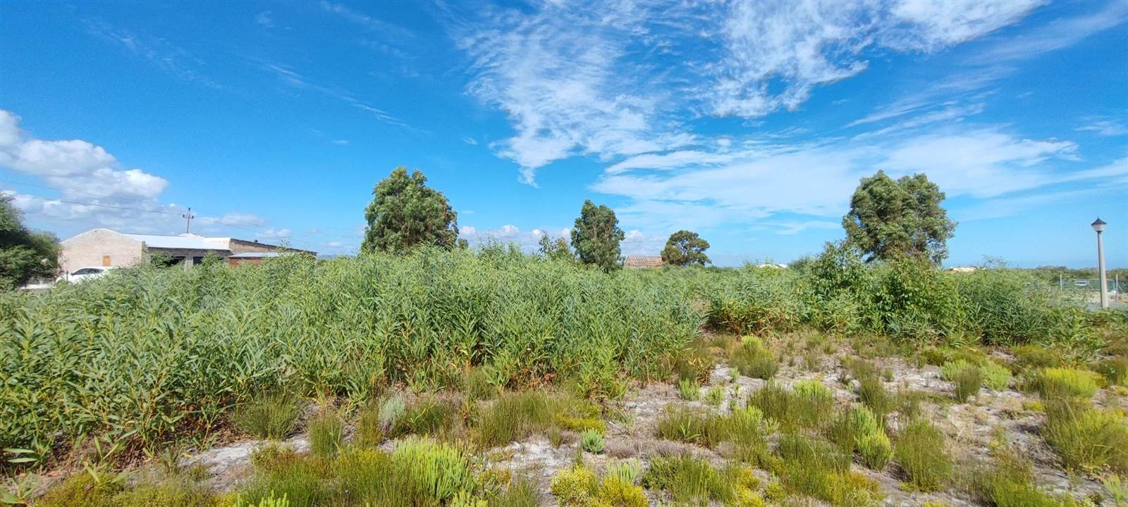 983 m² Land available in Franskraal photo number 8