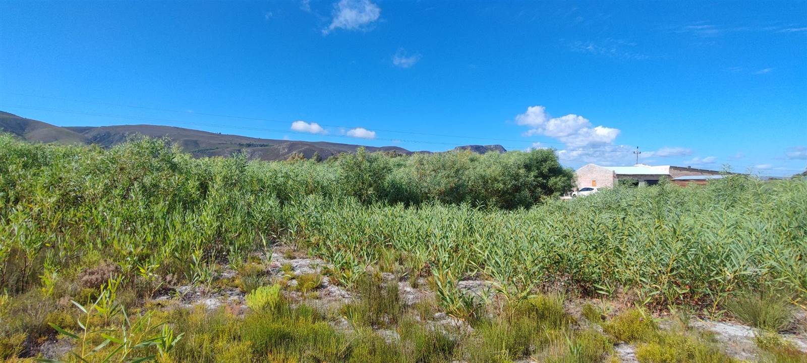983 m² Land available in Franskraal photo number 15