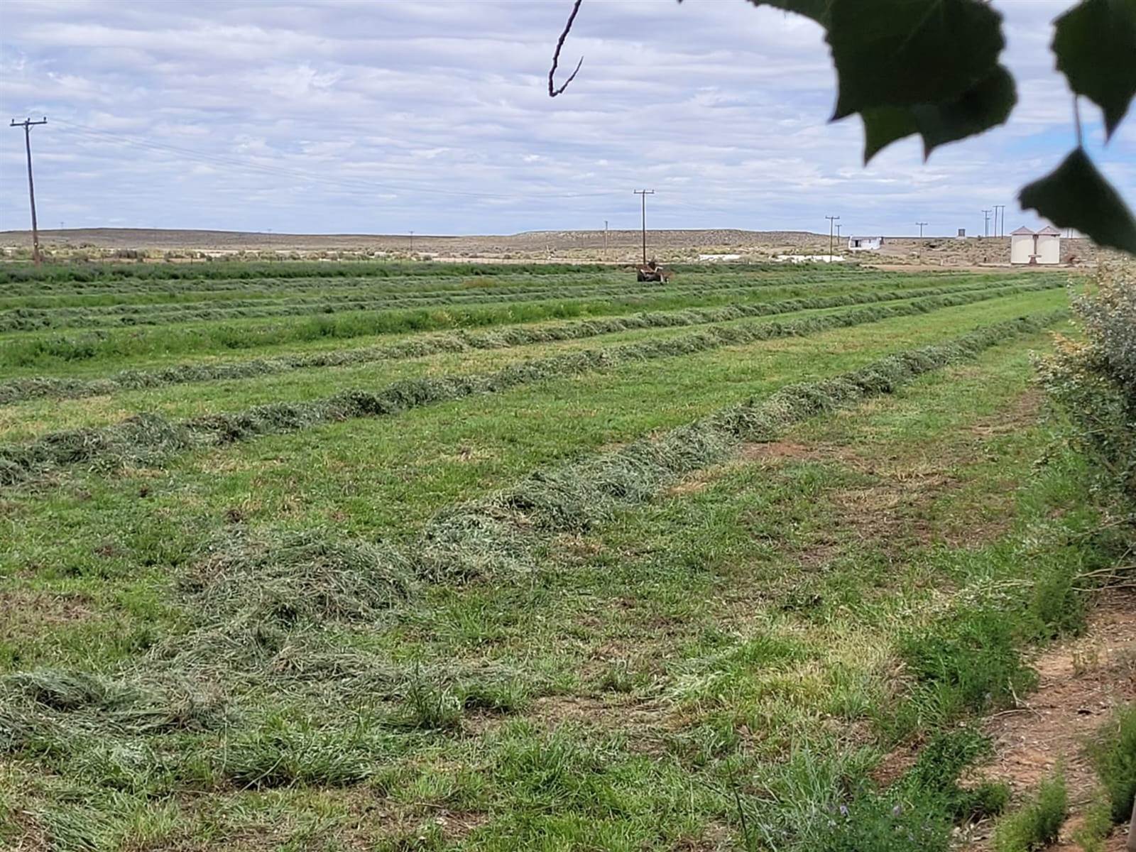 814 ha Farm in Loxton photo number 7