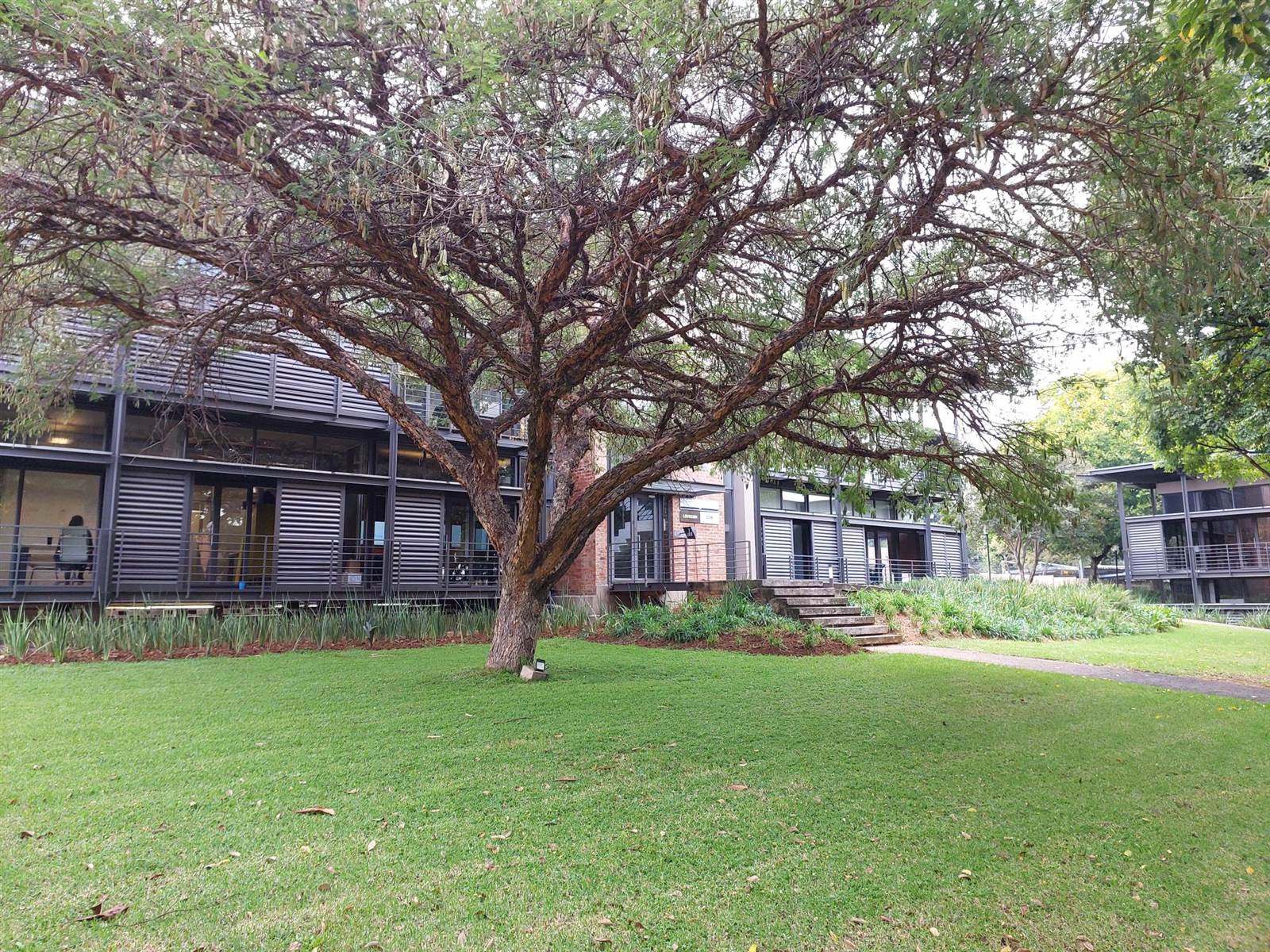 210  m² Commercial space in Bryanston photo number 10