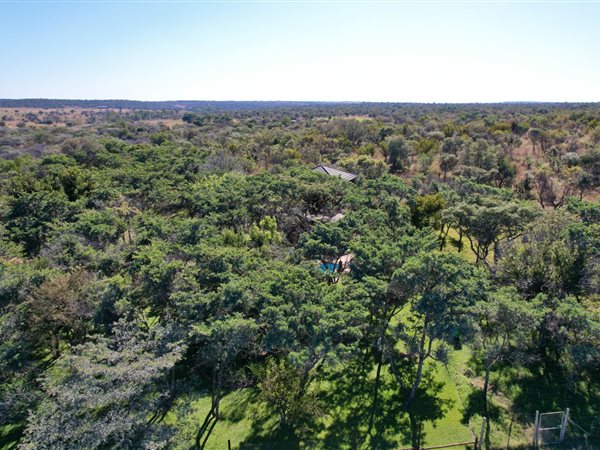 65 ha Farm