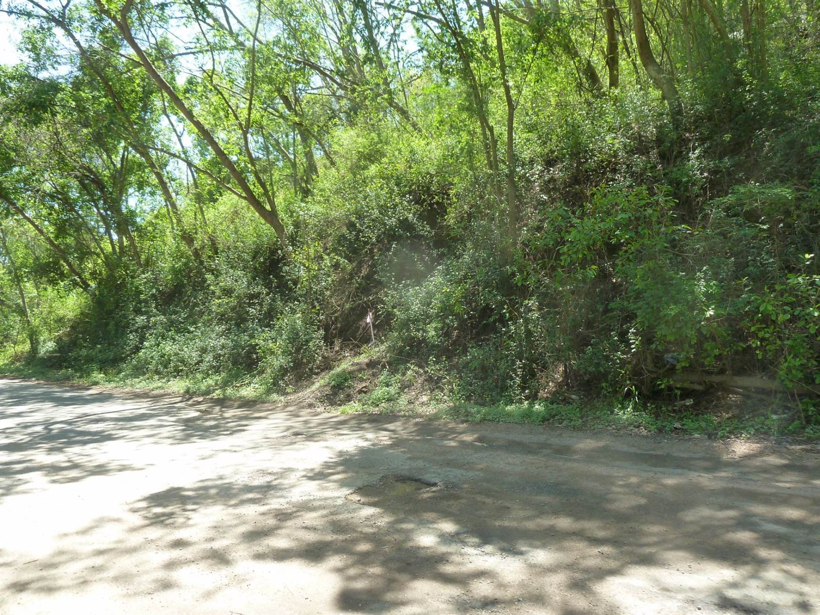 5002 m² Land available in Shongweni photo number 5